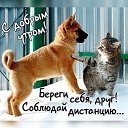 ���� ����, ������, 40 ��� - ��������� 12 ������ 2023