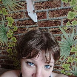 , 40 ,  