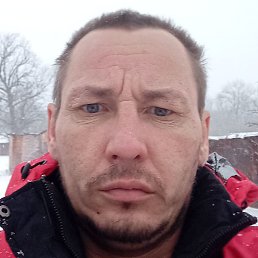 �������, �������, 39 ���