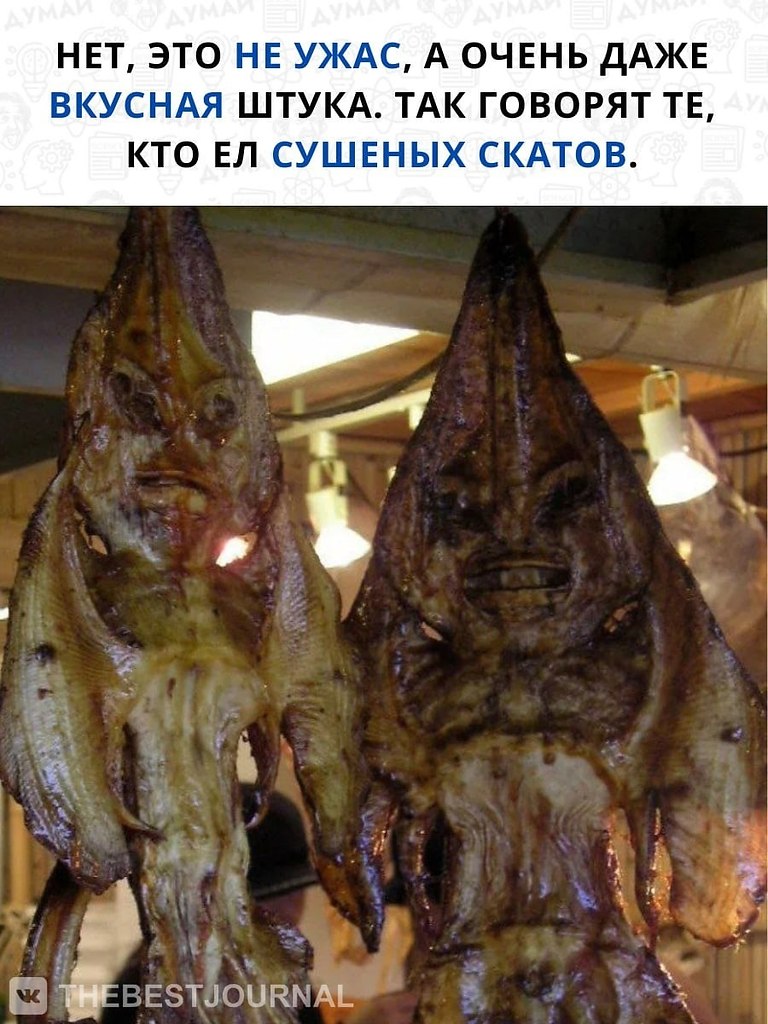      .,     - .   ...