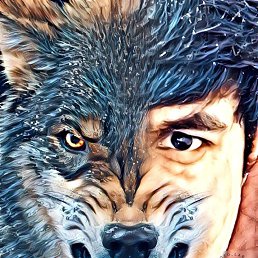 ���� Somon, ������, 48 ��� - ��������� 2 ������� 2023