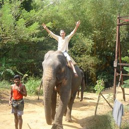 ������, ������, 42 ����