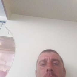 ����, ���������, 36 ���