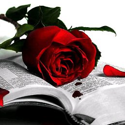 �����, ������, 21 ���