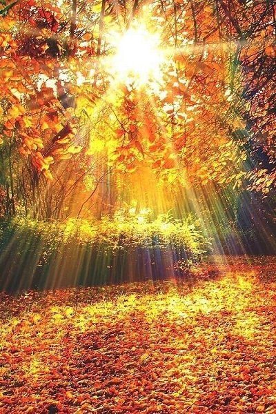 "�������� ����. � ��������� ����� �������� ������. � ����� ���� � ��������, ����� ������, ...