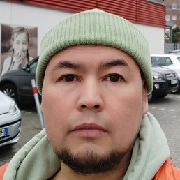 ������, ������, 41 ���