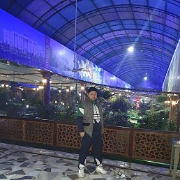 ���, �����, 33 ����