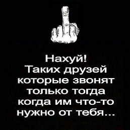 �����, ������, 40 ���