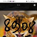 ���� Antonio, ������������, 42 ���� - ��������� 8 ������� 2023