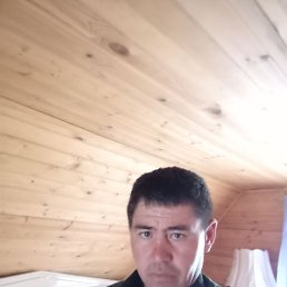 ���� �������, ������, 41 ��� - ��������� 3 �������� 2023