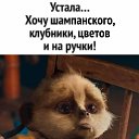 ���� ����, ������� - ��������� 11 ������ 2023 � ������ ������ ��������