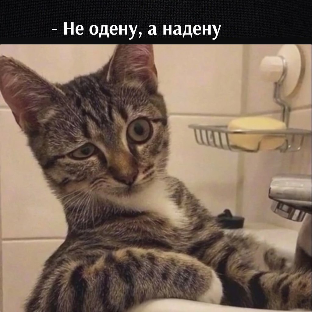       - 29  2023  12:35 - 3