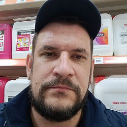 ���������, ������-��-����, 41 ���