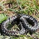 ���� ���������, ������, 51 ��� - ��������� 26 ������� 2023 � ������ ���� ����������