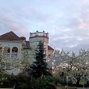 ���� ������� �� ��������, �����, 67 ��� - ��������� 29 ������ 2023 � ������ ���� ����������