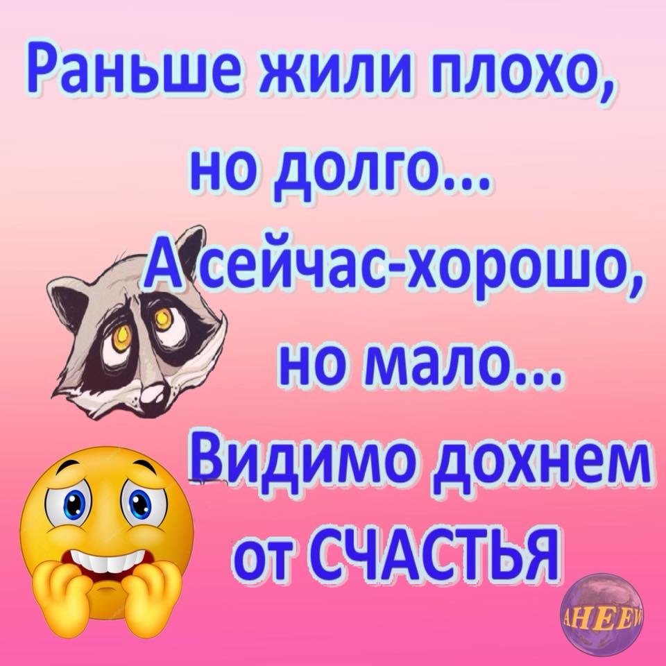 N - 11  2023  17:48