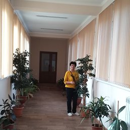 �������, ������, 56 ���