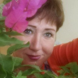 �������, �����, 47 ���