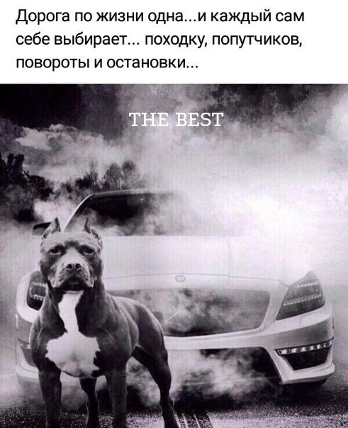 ***Victoria Viktorovna*** - 23  2023  01:20