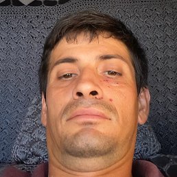 ������, ���������, 36 ���