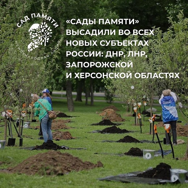 Высади дерево в память о своем герое – защитнике Отечества. Присоединяйся к акции #СадПамяти, цель ... - 6