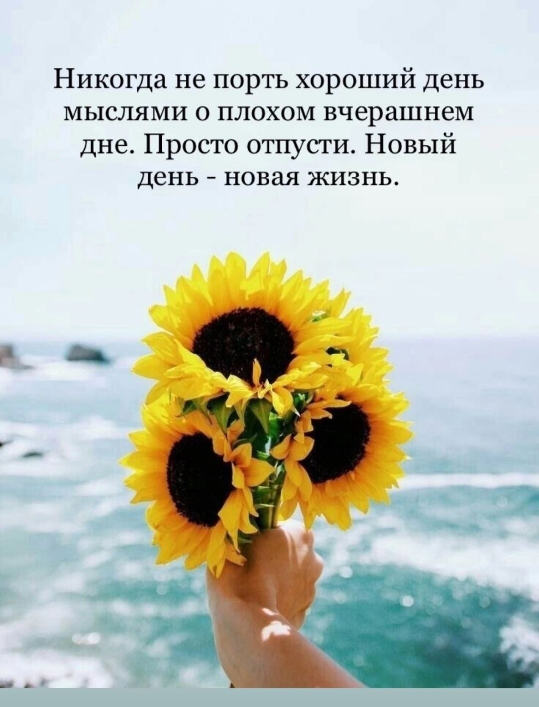 ***Victoria Viktorovna*** - 27  2023  02:59 - 2