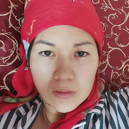 �����, ������, 33 ����