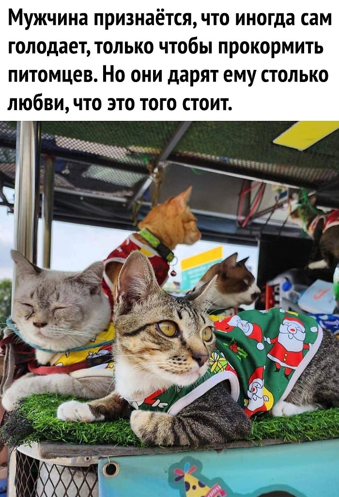   - 3