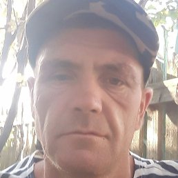 �������, �����������, 36 ���