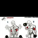 ���� ����, ����, 33 ���� - ��������� 3 �������� 2023 � ������ ���� ����������