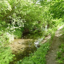 �������, ���������, 42 ����