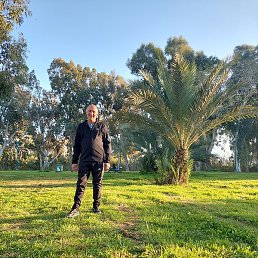 ���, ����-����, 49 ���