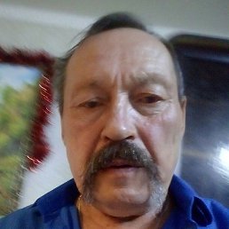 ��������, ��������, 37 ���