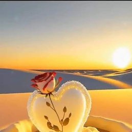 Hicham, �����, 47 ���