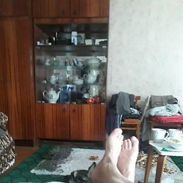 �����, ������, 37 ���