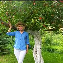 ���� �����, ��������� - ��������� 1 ���� 2023 � ������ ���� ����������