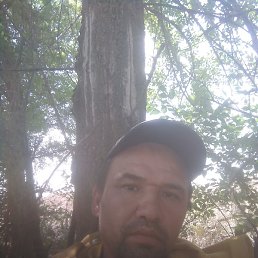 �������, ������, 45 ���