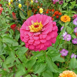 �������, ������ ��������, 78 ���