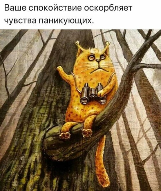   - 6  2023  21:21