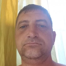 ����, ����������, 44 ����