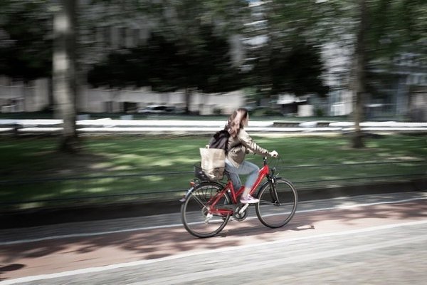 Велотрассу между Москвой и Петербургом планируют построить к 2027 году. Маршрут под названием ...