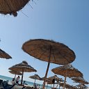 ���� �����, �������� - ��������� 23 ���� 2023 � ������ ���� ����������