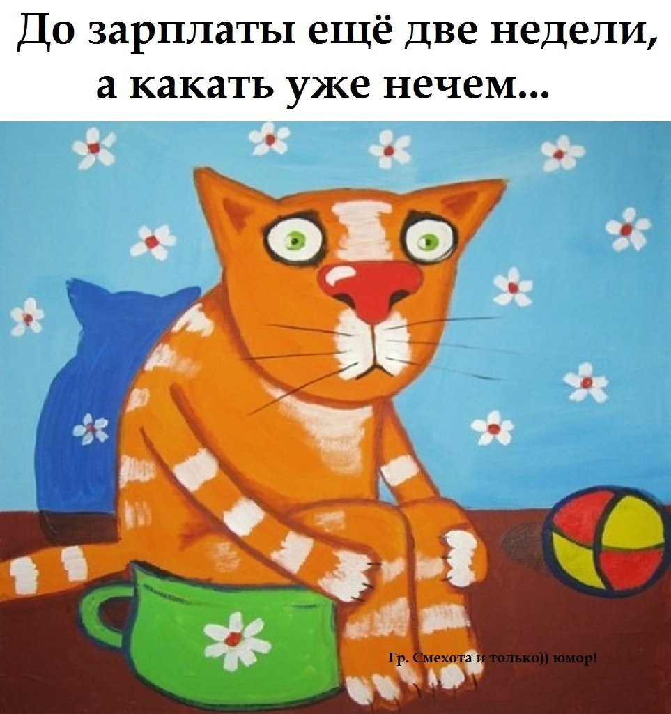  - 3  2023  15:43