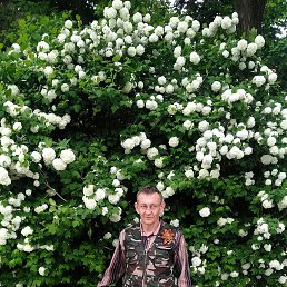 ���� �������, ������, 56 ��� - ��������� 14 ���� 2023