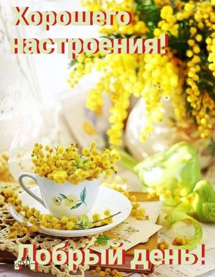   ,    . - 26  2023  17:16 - 7