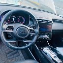 ���� ������, ������, 38 ��� - ��������� 3 ������� 2023 � ������ ���� ����������