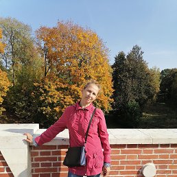 , 65, 