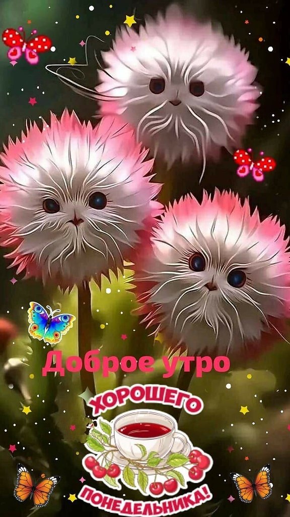 ~ ~ ~ ~ ~ ~ ~ ~ ~ ~ ~ ~ ~ ~ ~