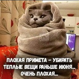 �������, ������ ��������, 39 ���