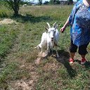 ���� �������, �����, 53 ���� - ��������� 2 ������� 2023